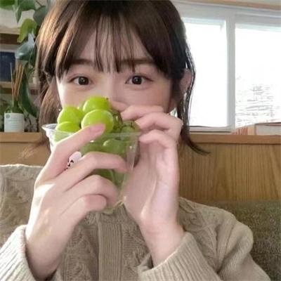 夏日菊花茶海报