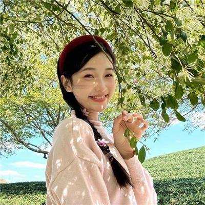 与鸭共舞海报